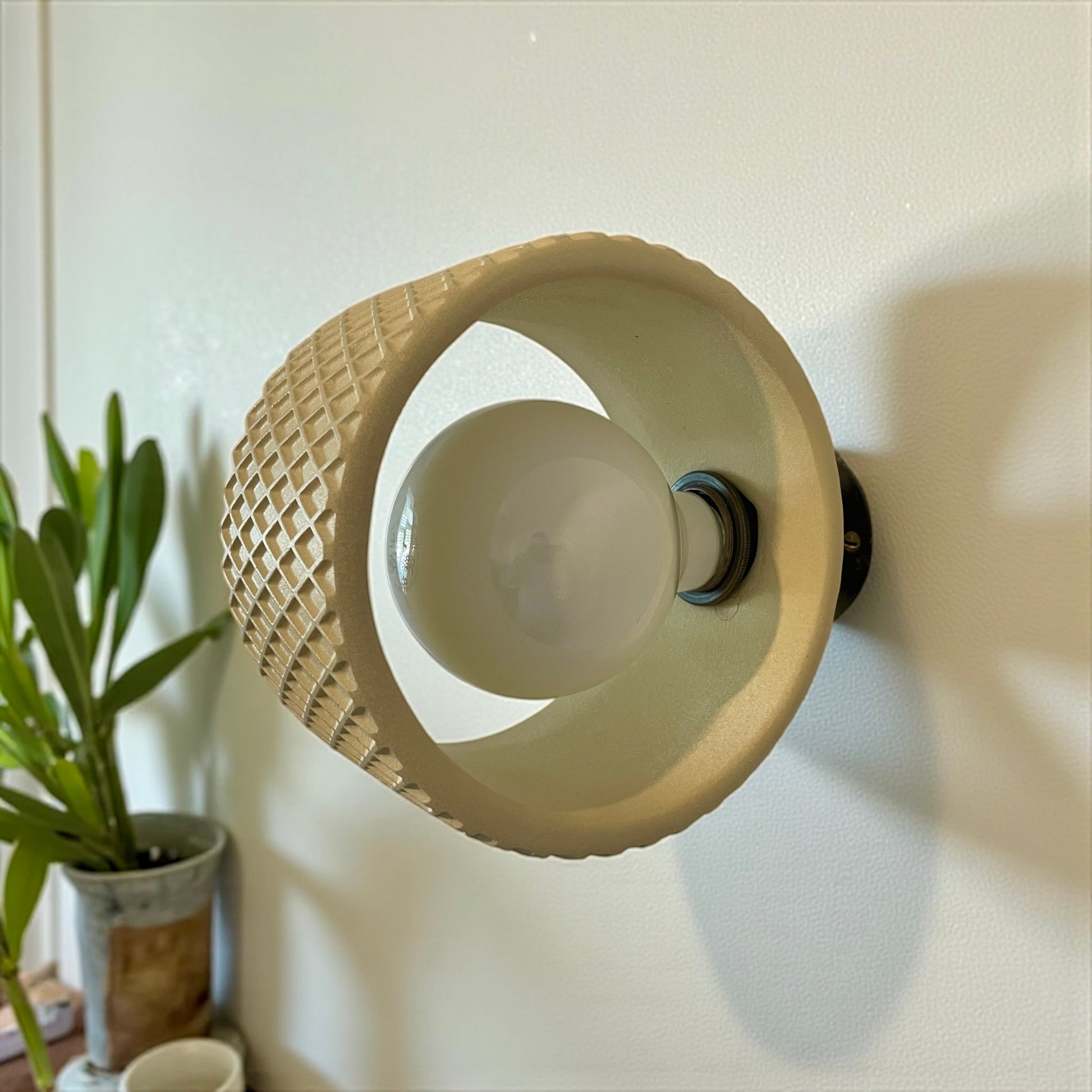 Plaster wall light fixture on a wall with a plant in the background