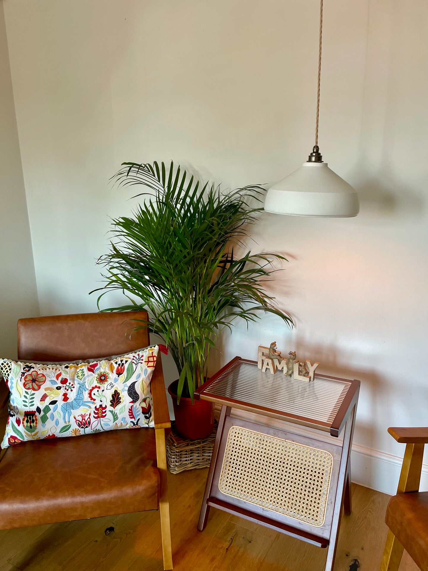 Large ZENO Pendant Light