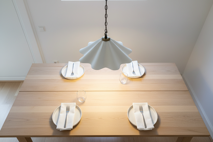 FANNIA Plaster Pendant Light